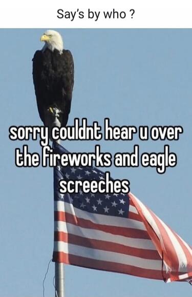 Say's by who ? sorry couldnt hear u over the fireworks and eagle screeches