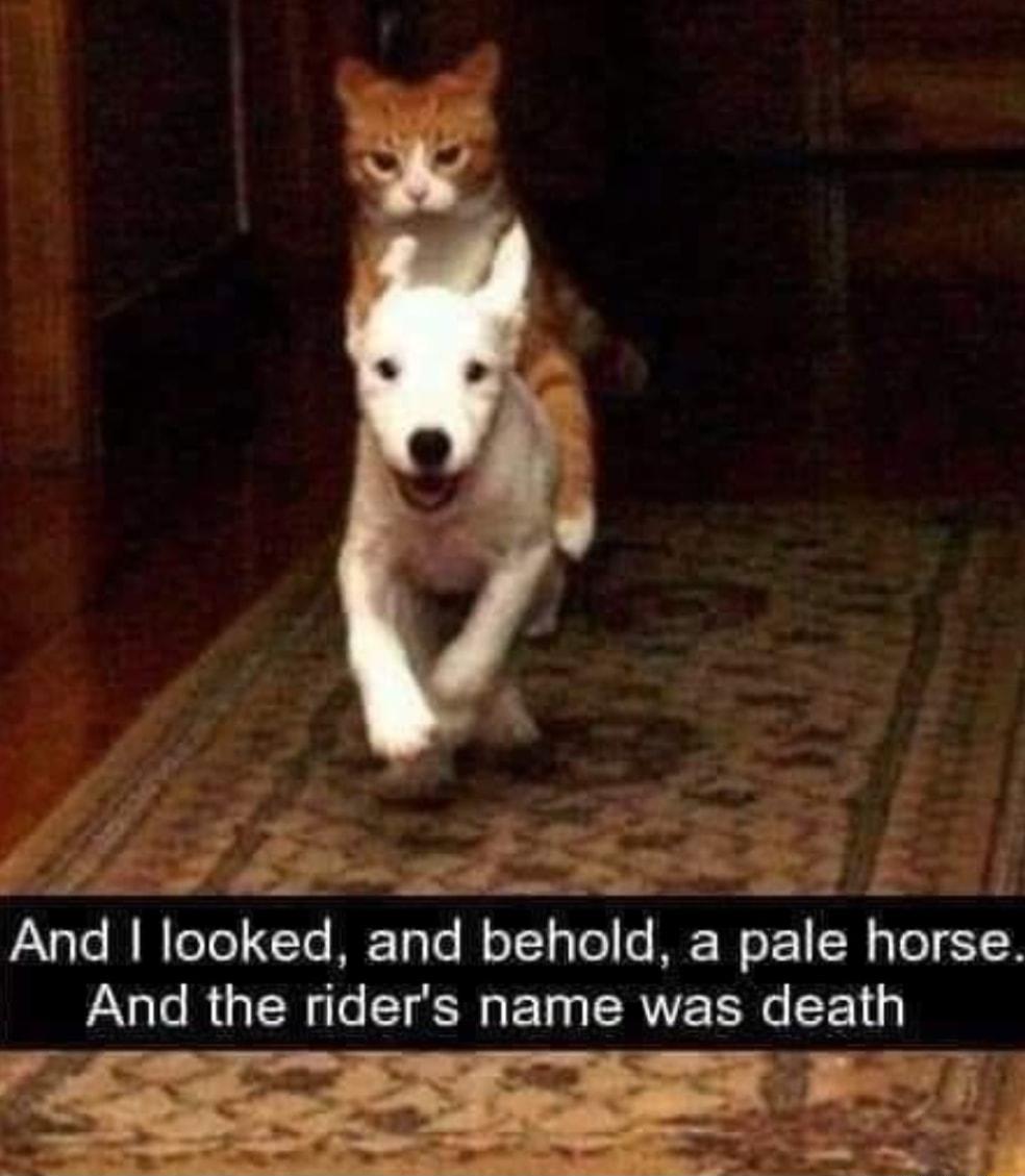 fm af 3 PaXale i W loTo Te ME Tyle behold a pale horse And the nders WEIMEATER death