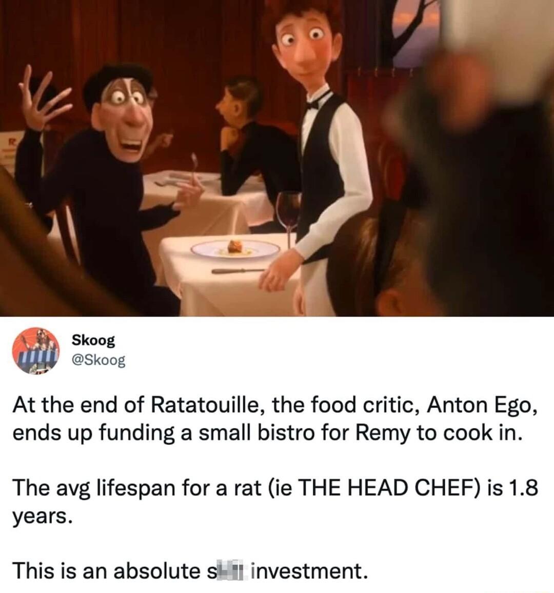 At the end of Ratatouille the food critic Anton Ego ends up funding a small bistro for Remy to cook in The avg lifespan for a rat ie THE HEAD CHEF is 18 years This is an absolute sk11 investment