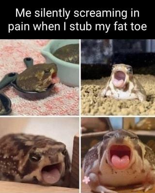 Me silently screaming in pain when stub my fat toe 5
