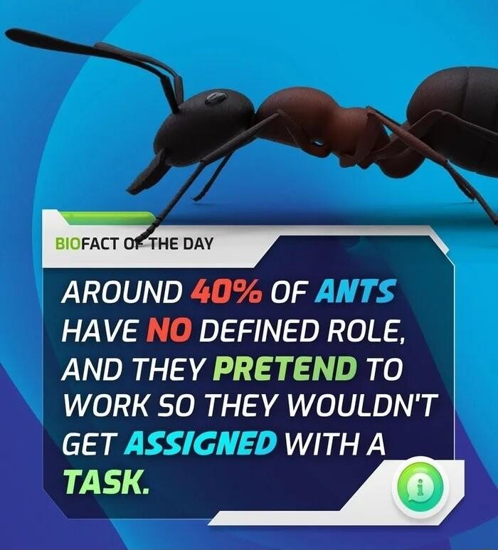 AROUND 40 OF HAVE NO DEFINED ROLE AND THEY PRETEND TO WORK S0 THEY WOULDNT GET WITHA 17576