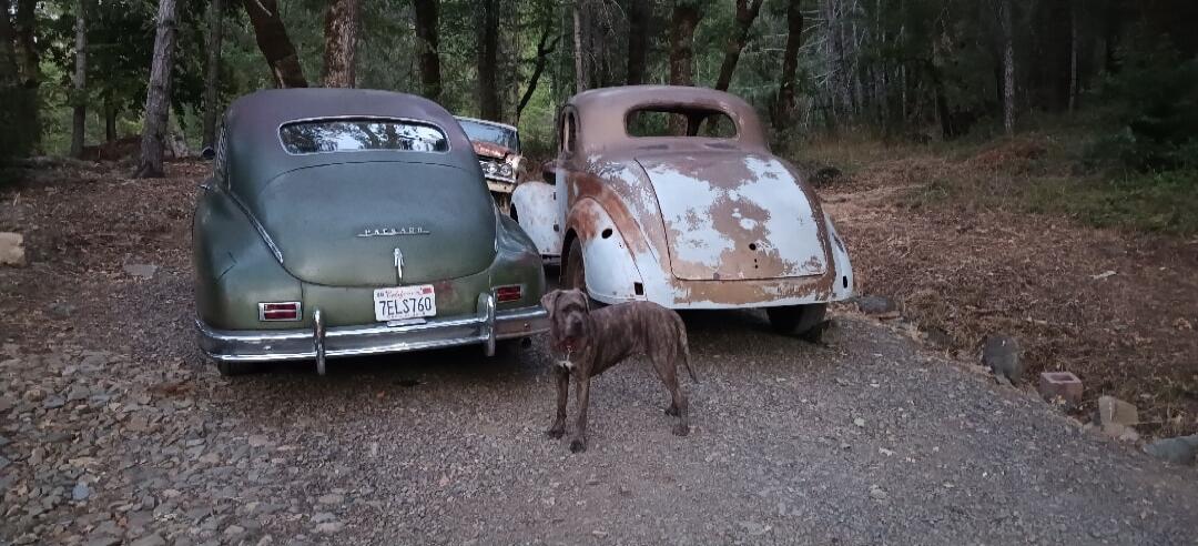 Session ID: 1103342.