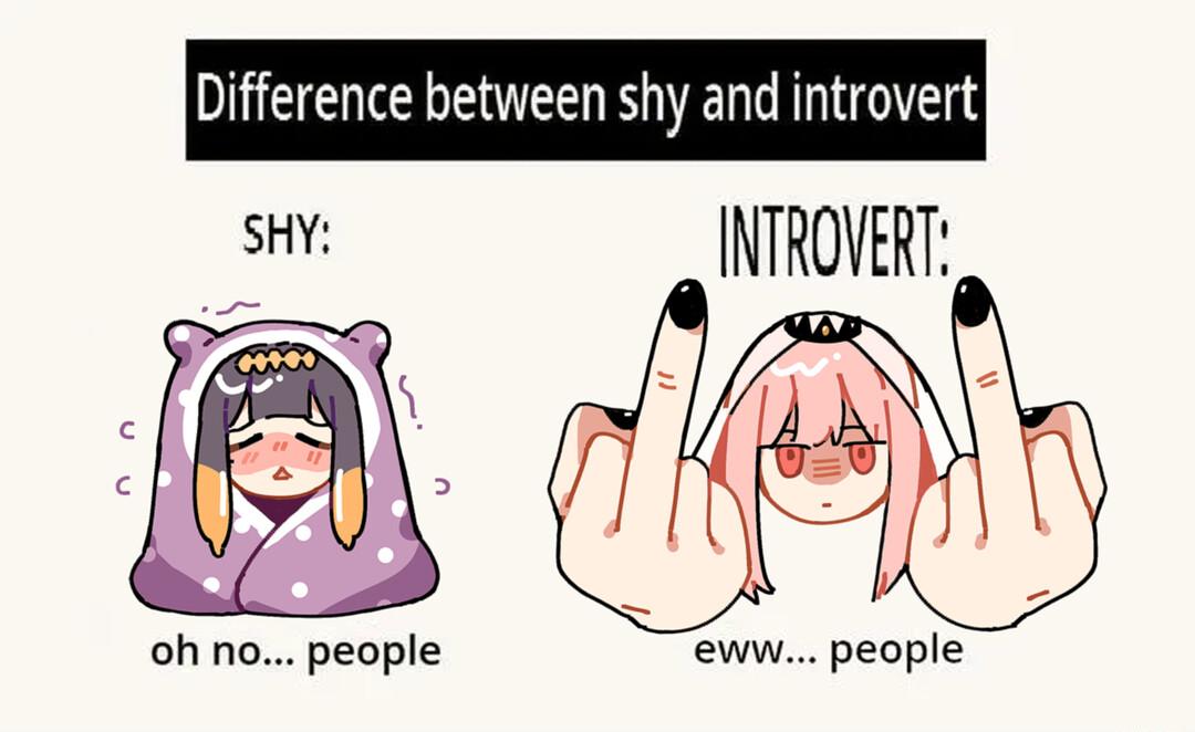 Difference between shy and introvert i INTROVERT HAN oh no people eww people