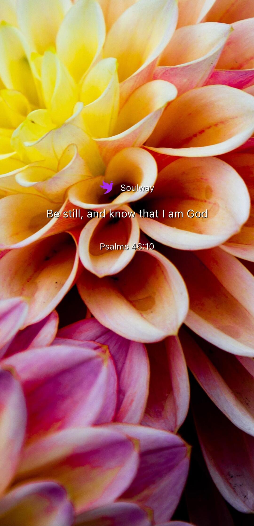 Soulway Be still, and know that I am God Psalms 46:10