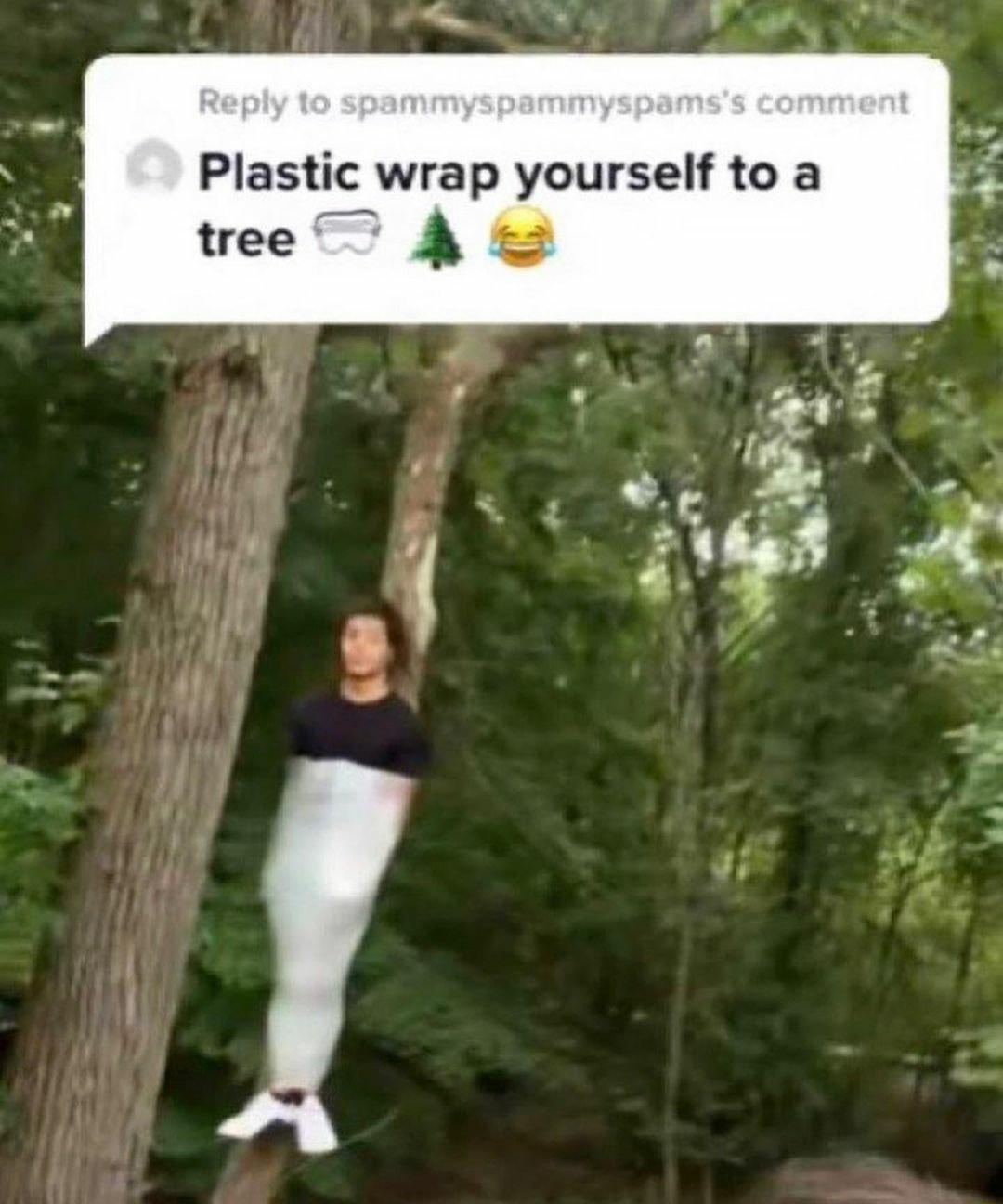 Plastic wrap yourself to a tree T A