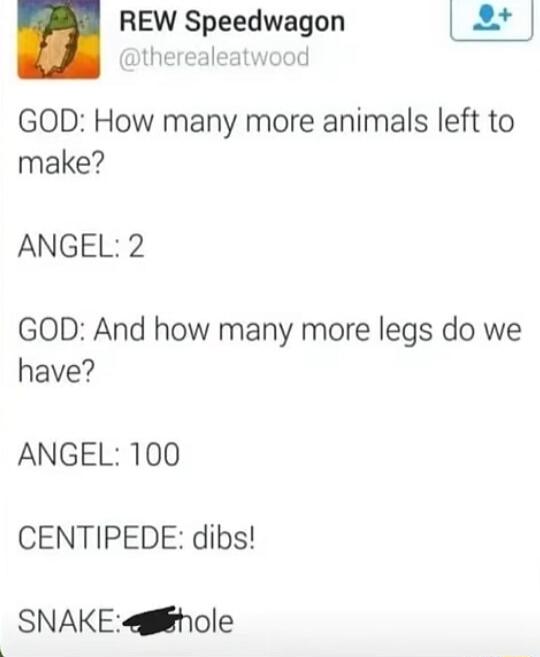 GOD: How many more animals left to make?
ANGEL: 2
GOD: And how many more legs do we have?
ANGEL: 100
CENTIPEDE: dibs!
SNAKE: asshole