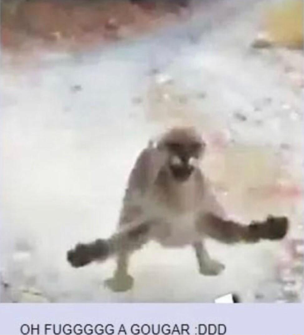 C LV P OH FUGGGGG A GOUGAR DDD