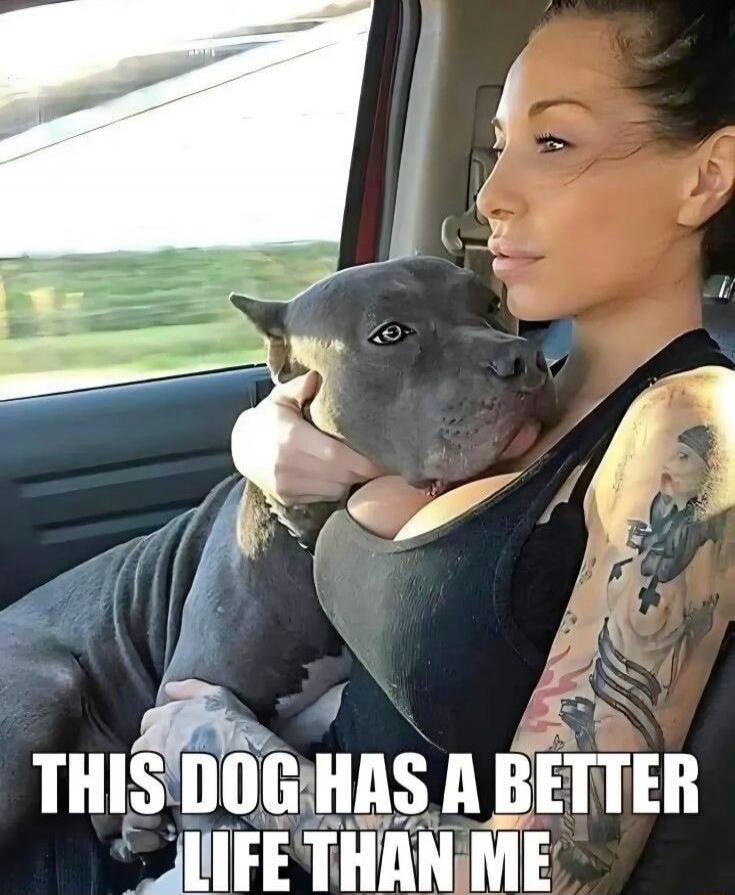 THIS DOG HAS A BETTER LIFE THAN ME