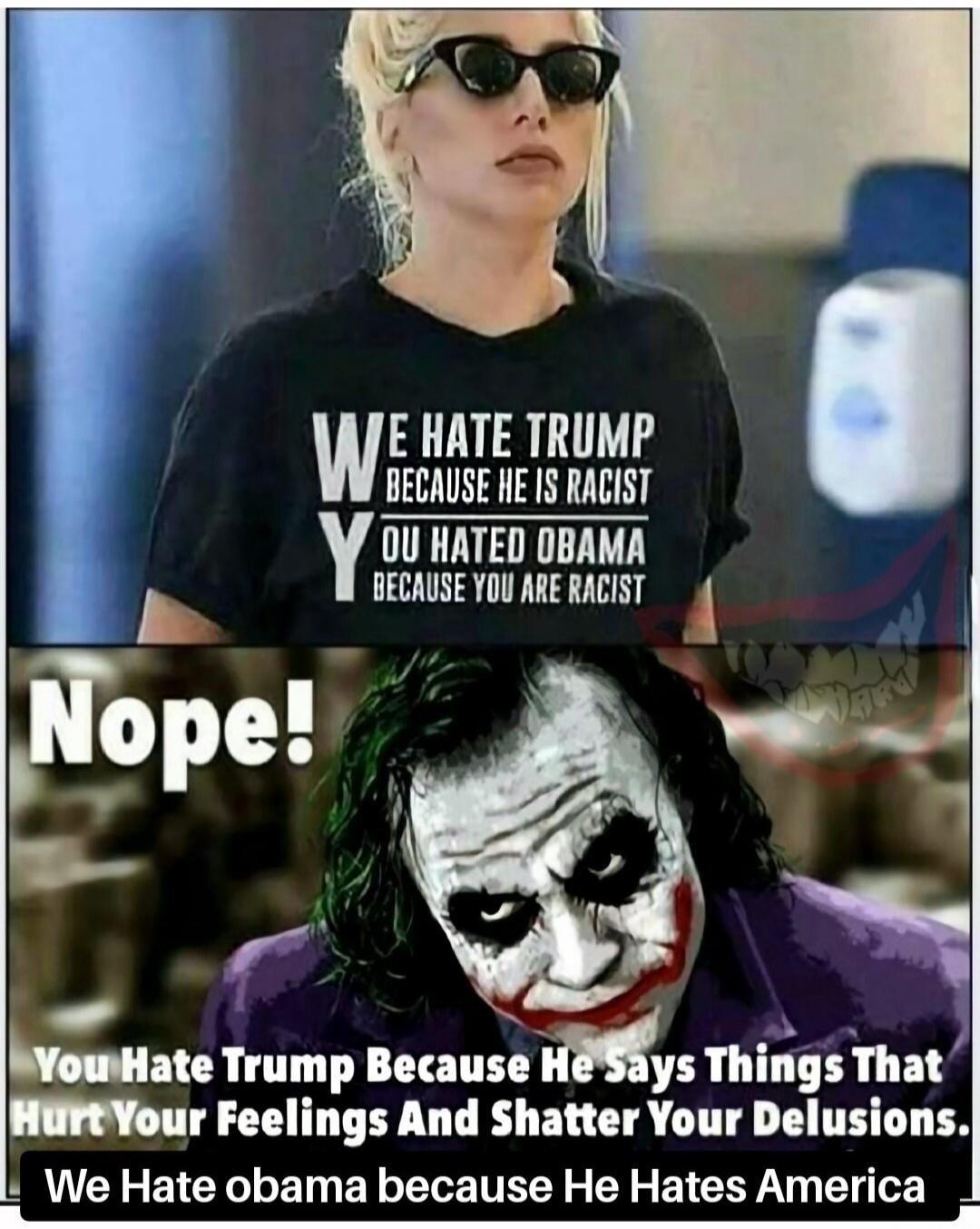 WE HATE TRUMP BECAUSE HE IS RACIST YOU HATED OBAMA BECAUSE YOU ARE RACIST Nope! You Hate TRUMP Because He Says Things That Hurt Your Feelings And Shatter Your Delusions. We Hate obama because He Hates America