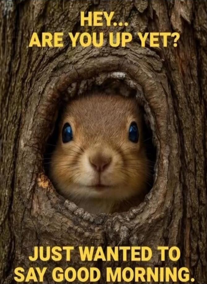 HEY.. ARE YOU UP YET? JUST WANTED TO SAY GOOD MORNING