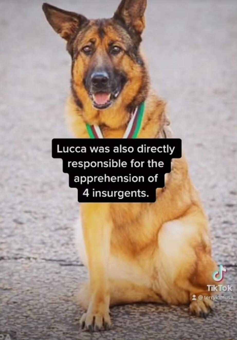 Lucca was also directly responsible for the apprehension of CAGETILTELIEN