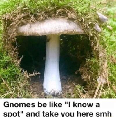 Gnomes be Ike know a spot and take vou here smh