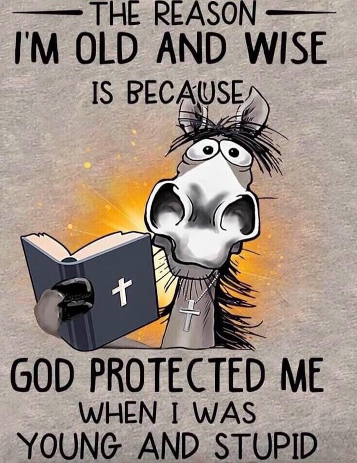 THE REASON I'M OLD AND WISE IS BECAUSE GOD PROTECTED ME WHEN I WAS YOUNG AND STUPID