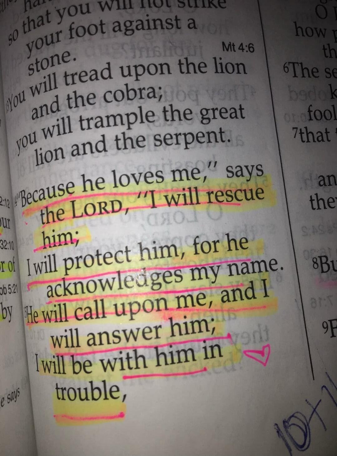 so that you will not strike your foot against a stone. You will tread upon the lion and the cobra; you will trample the great lion and the serpent. 