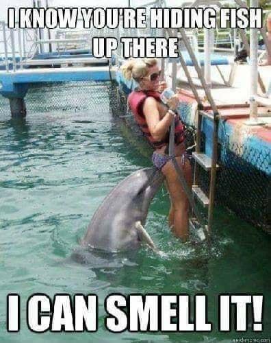 S ICANISMELL IT