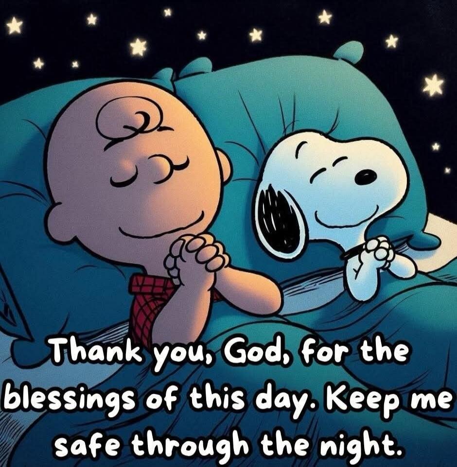 Thank you, God, for the blessings of this day. Keep me safe through the night.
