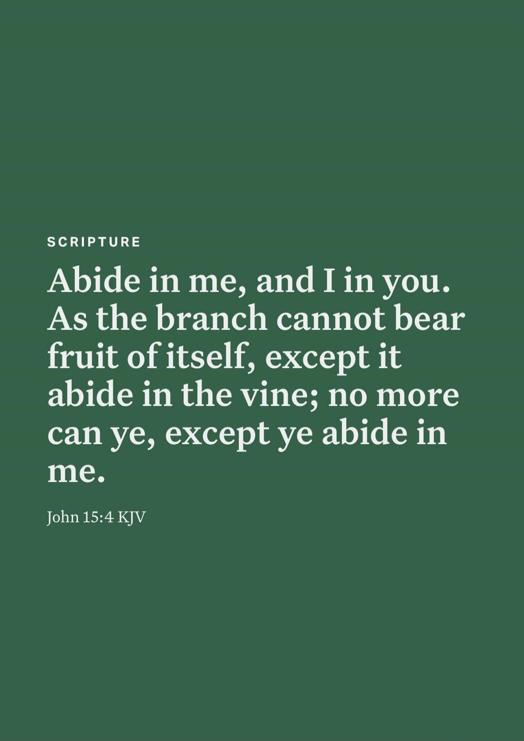 SCRIPTURE
Abide in me, and I in you. As the branch cannot bear fruit of itself, except it abide in the vine; no more can ye, except ye abide in me.
John 15:4 KJV