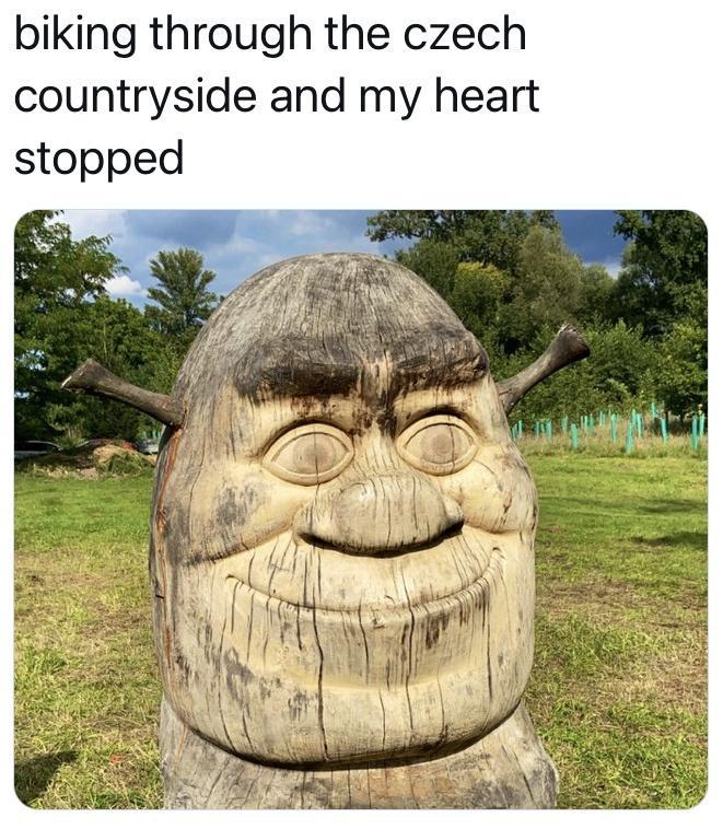 biking through the czech countryside and my heart stopped