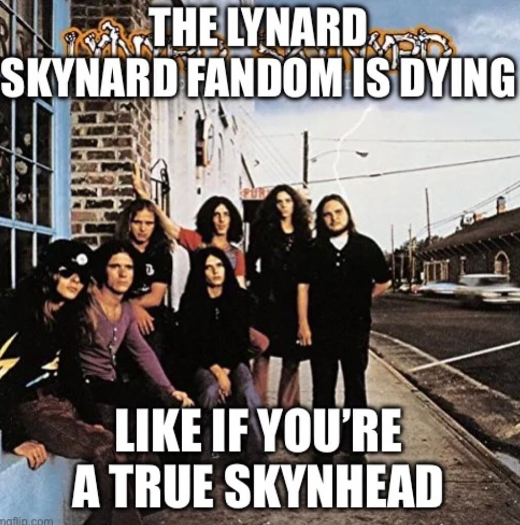 A RS lIIE IFYIIII RE SR TRUE SKYNHEAD