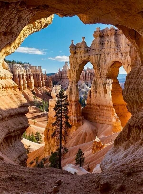 Session ID: 1080850.