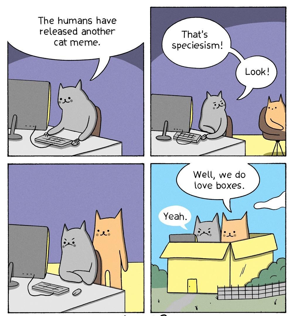 The humans have released another Thats cat meme speciesism Well we do love boxes