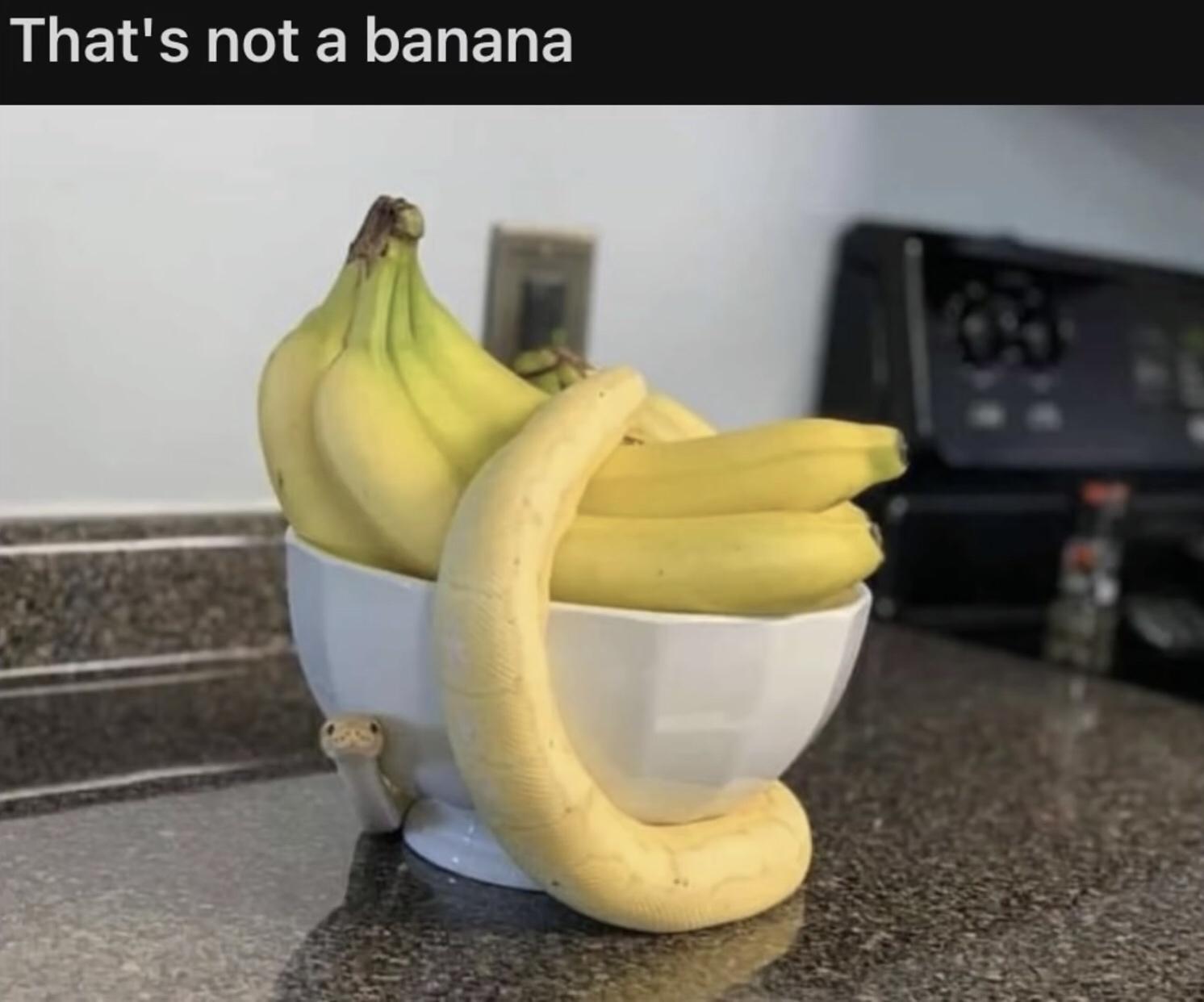 Thats not a banana