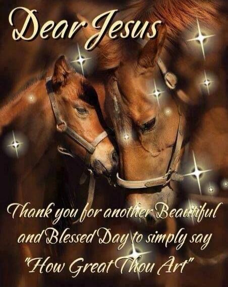 Dear Jesus Thank you for another Beautiful and Blessed Day to simply say 