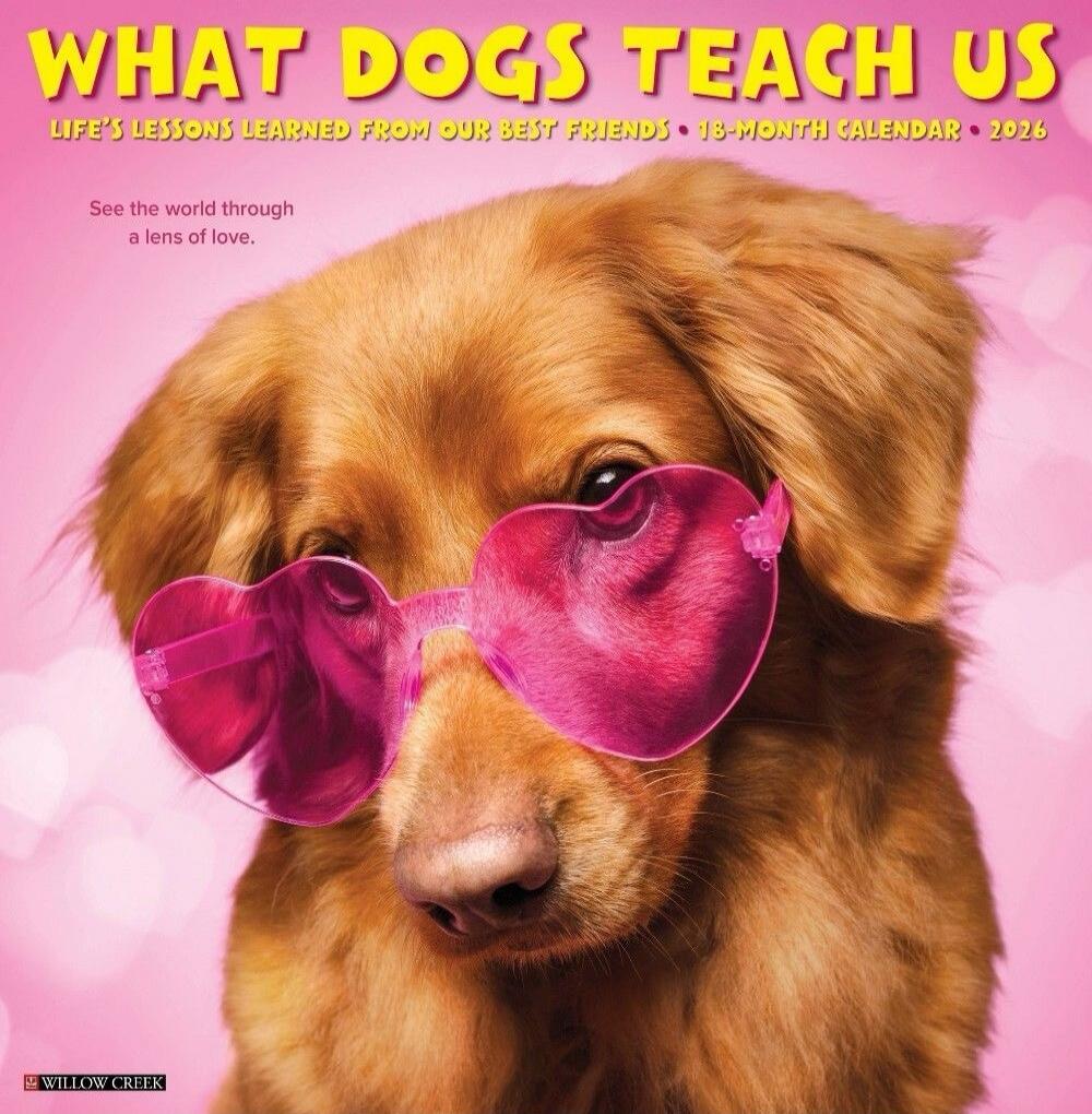 WHAT DOGS TEACH US LIFE'S LESSONS LEARNED FROM OUR BEST FRIENDS 18-MONTH CALENDAR 2026 See the world through a lens of love. WILLOW CREEK