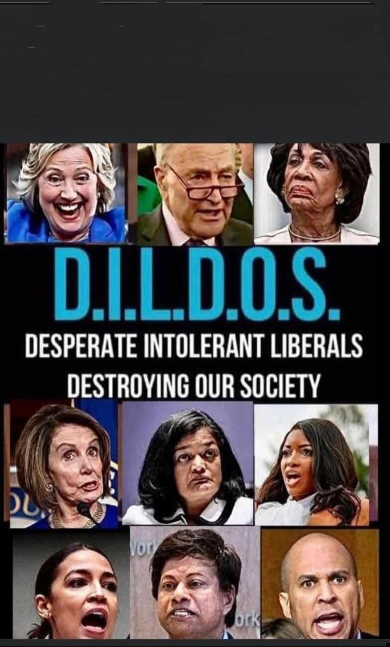 D.I.L.D.O.S. DESPERATE INTOLERANT LIBERALS DESTROYING OUR SOCIETY