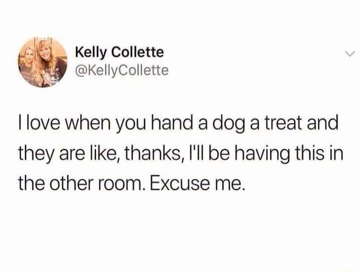 Kelly Collette @KellyCollette I love when you hand a dog a treat and they are like, thanks, I'll be having this in the other room. Excuse me.