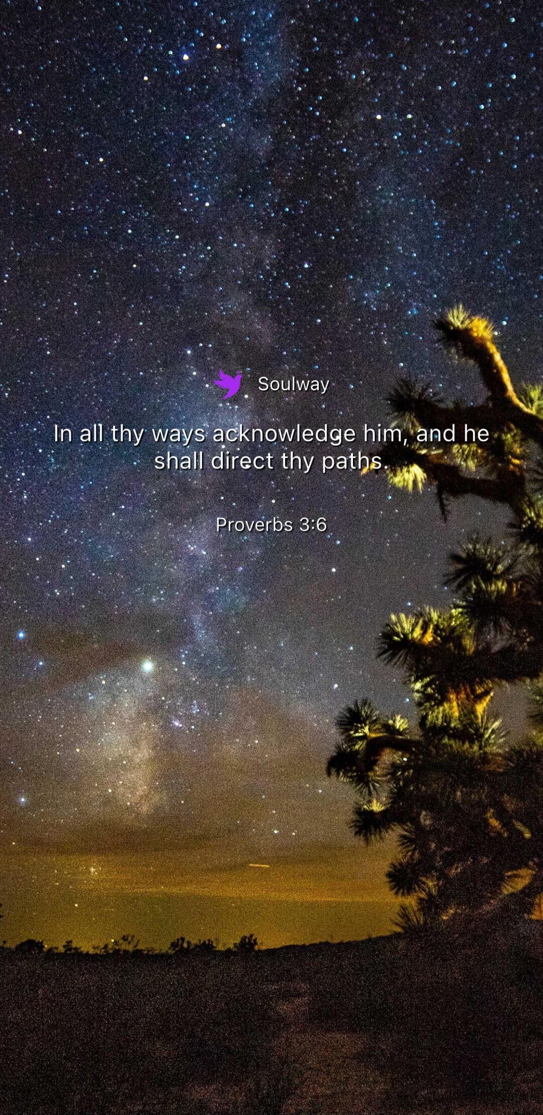 Soulway
In all thy ways acknowledge him, and he shall direct thy paths.
Proverbs 3:6