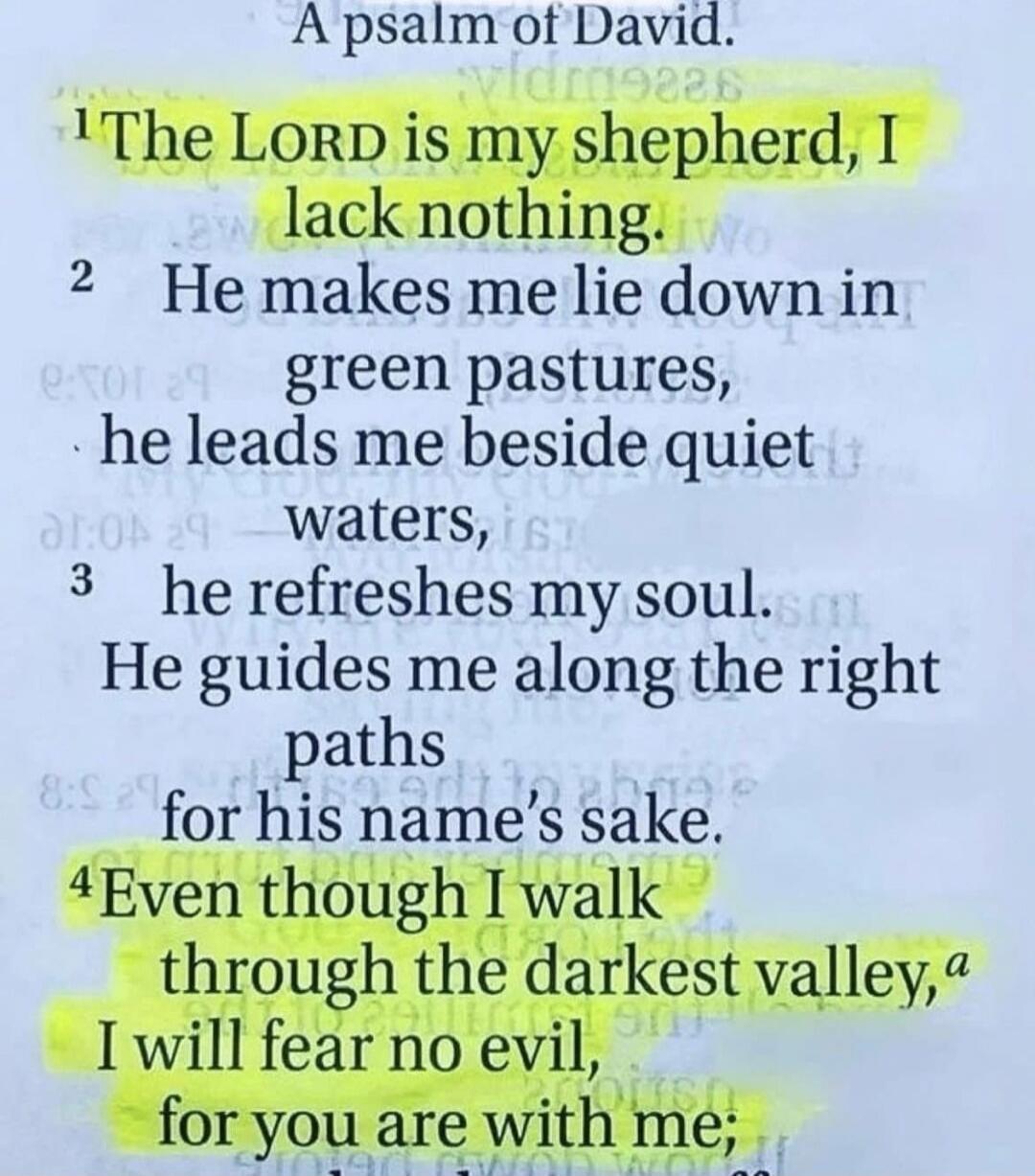 A psalm of David. The LORD is my shepherd, I lack nothing. He makes me lie down in green pastures, he leads me beside quiet waters, he refreshes my soul. He guides me along the right paths for his name's sake. Even though I walk through the darkest valley, I will fear no evil, for you are with me;