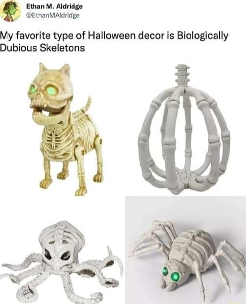 Ethan M Aldridge EthanMAdridge My favorite type of Halloween decor is Biologically Dubious Skeletons