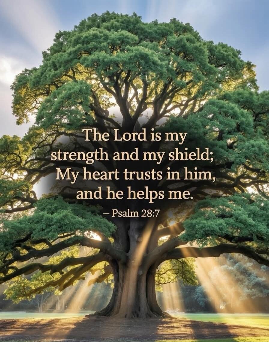 The Lord is my strength and my shield; My heart trusts in him, and he helps me. - Psalm 28:7