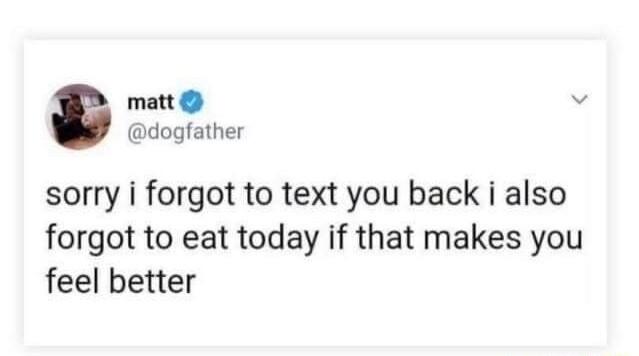 matt v dogfather sorry i forgot to text you back i also forgot to eat today if that makes you feel better
