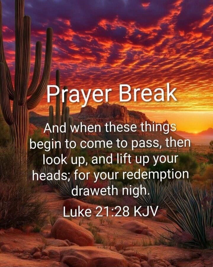 Prayer Break
And when these things begin to come to pass, then look up, and lift up your heads; for your redemption draweth nigh.
Luke 21:28 KJV