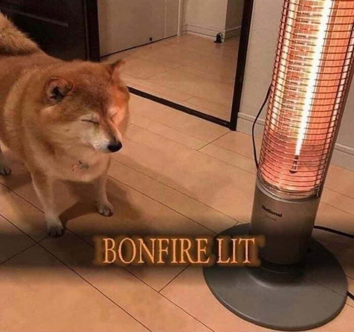 BONFIRE LIT
