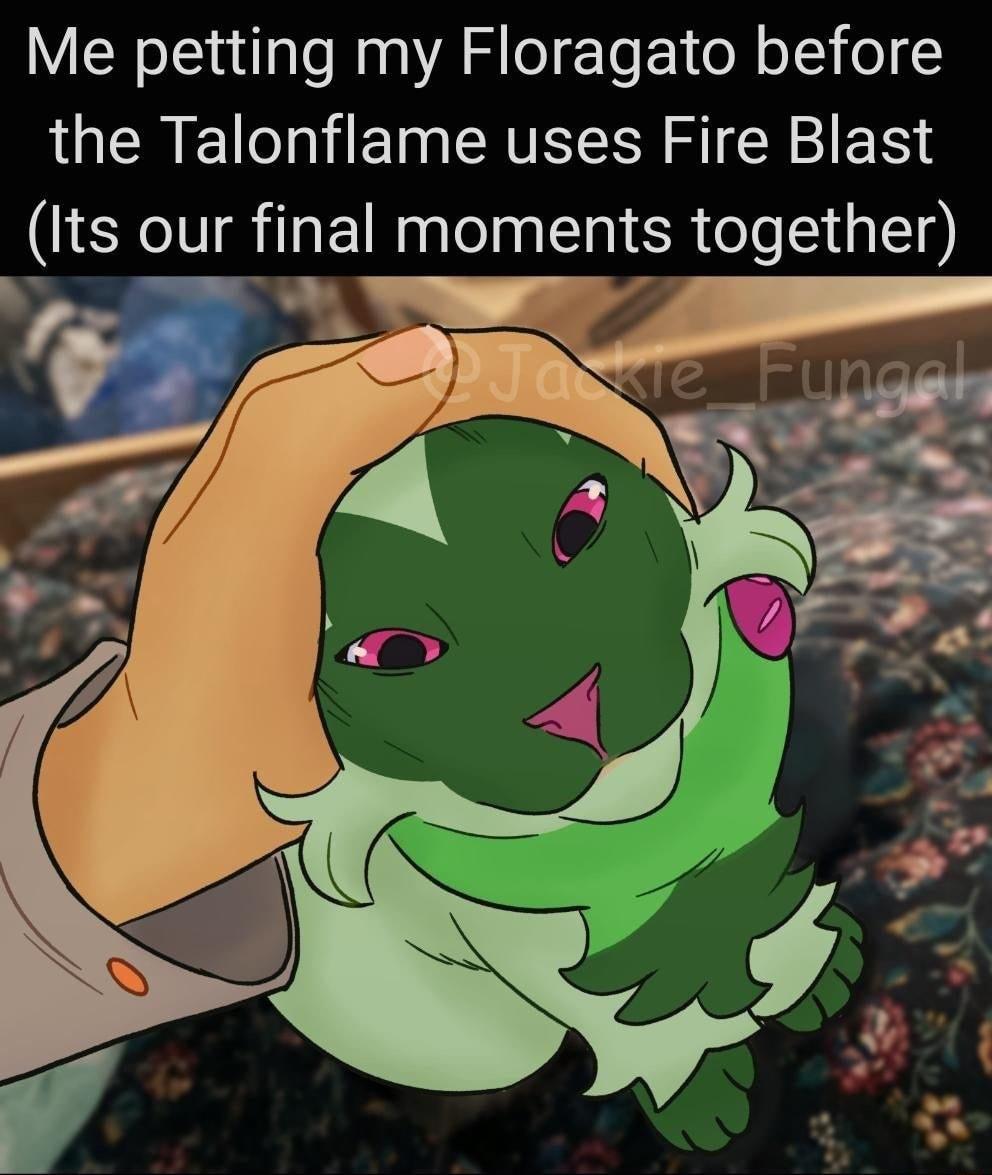 Me petting my Floragato before the Talonflame uses Fire Blast