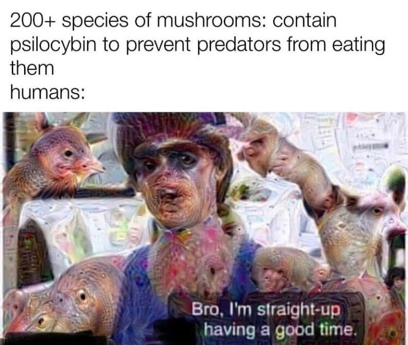 200 species of mushrooms contain psilocybin to prevent predators from eating them humans Bro Im straight up having a good time