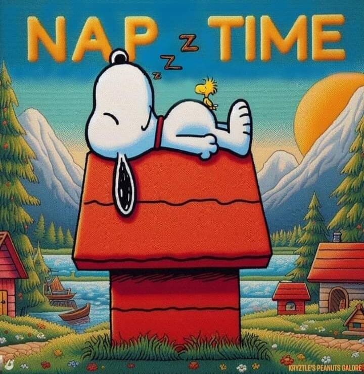 NAP TIME