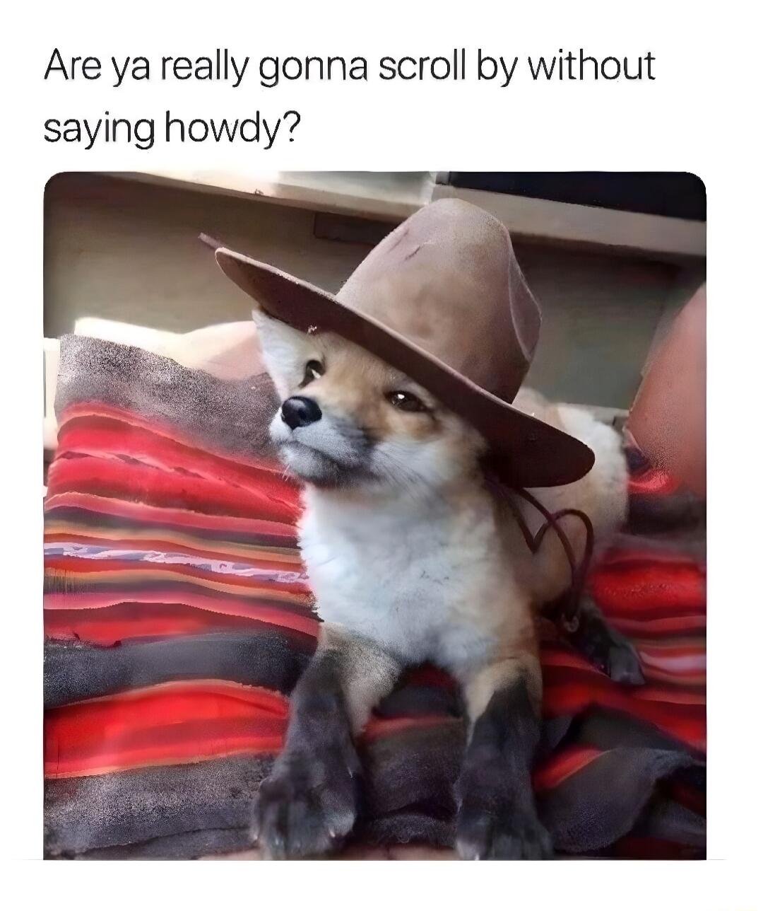 Are ya really gonna scroll by with saying howdy