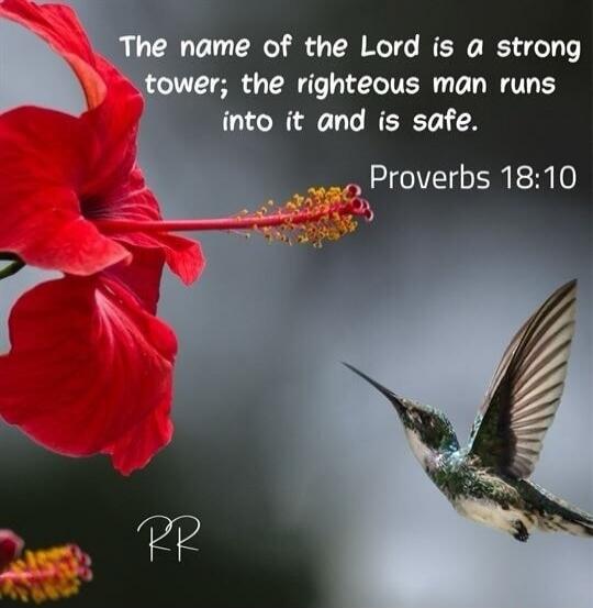 The name of the Lord is a strong tower; the righteous man runs into it and is safe. Proverbs 18:10