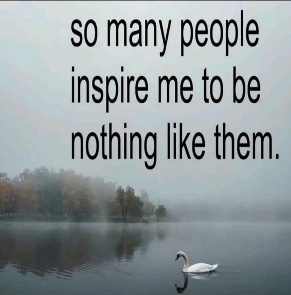 so many people inspire me to be nothing like them.