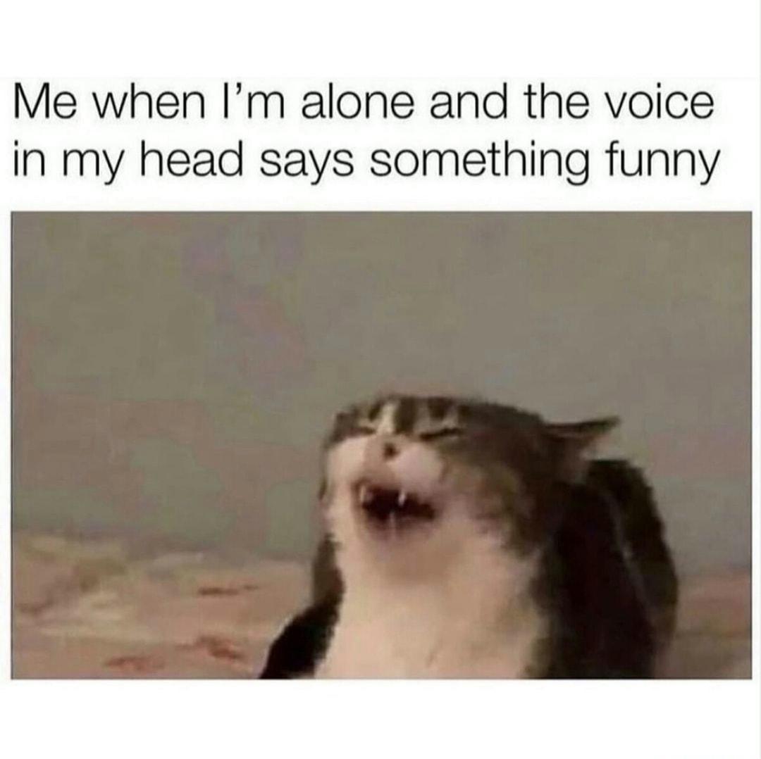 Me when Im alone and the voice in my head says something funny