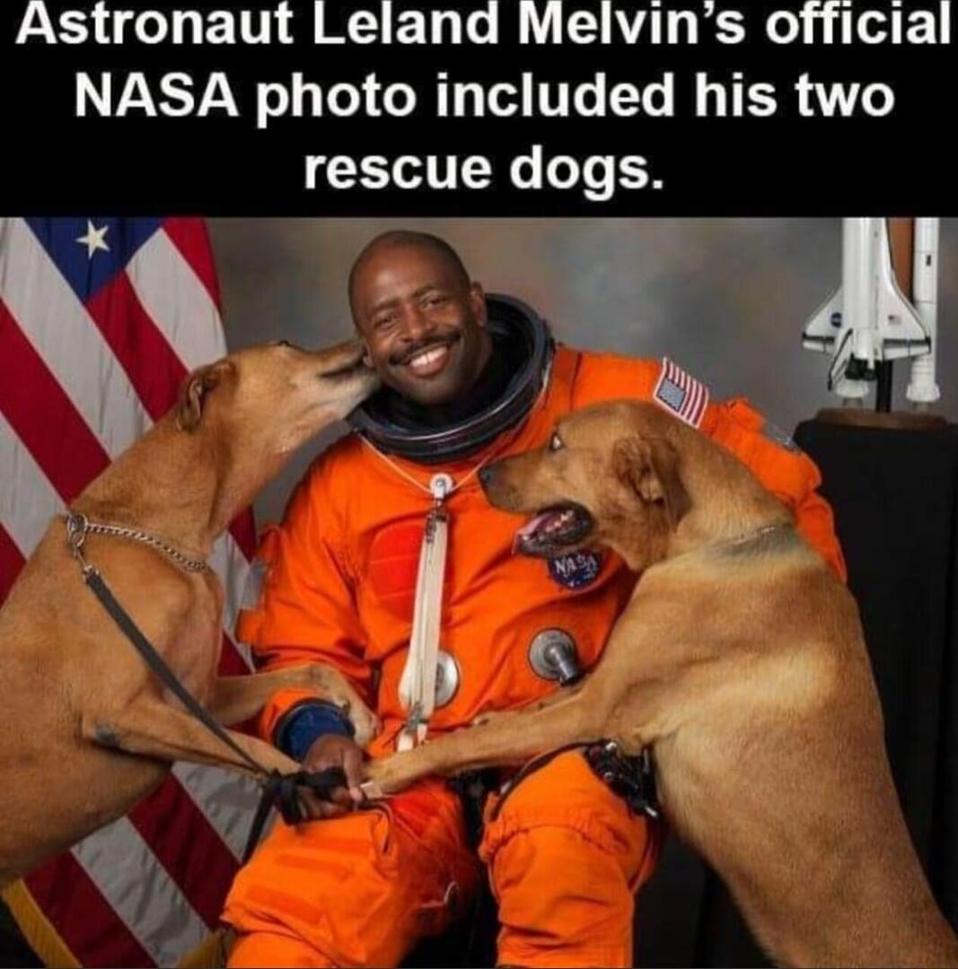 Astronaut Leland Melvins official LTARSYAN o1 T oM TR T V10 T6 MG TER A6 rescue dogs 5 pF I L 4 SO f