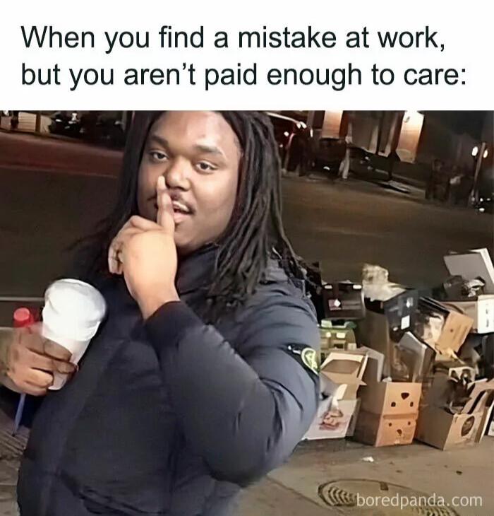 When you find a mistake at work but you arent paid enough to care bordpandacom