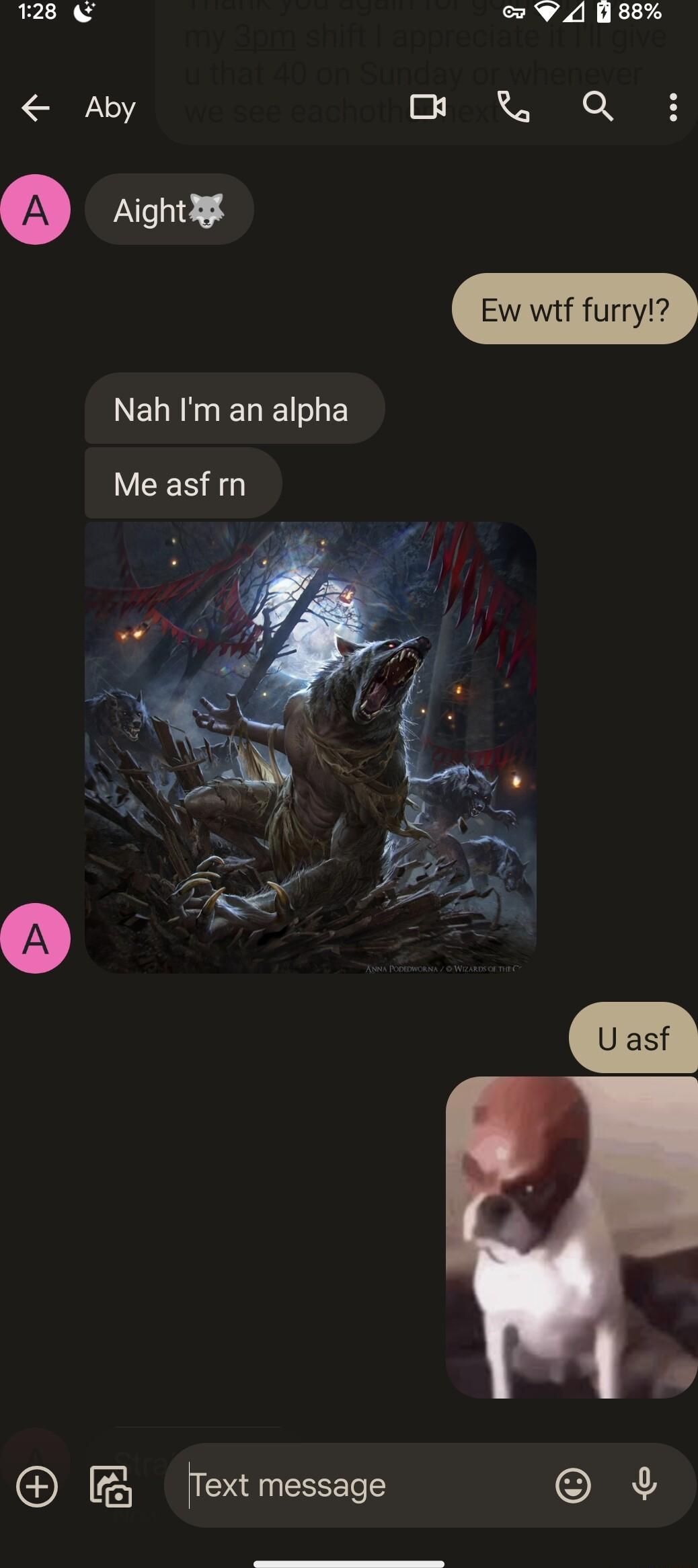 128 v4ussx Aby o W Q Ew witf furry Nah Im an alpha EES TN Text message