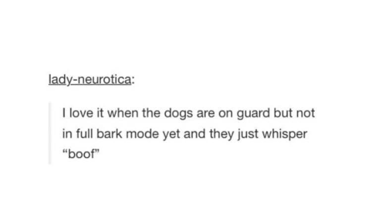 lady neurotica love it when the dogs are on guard but not in full bark mode yet and they just whisper boof