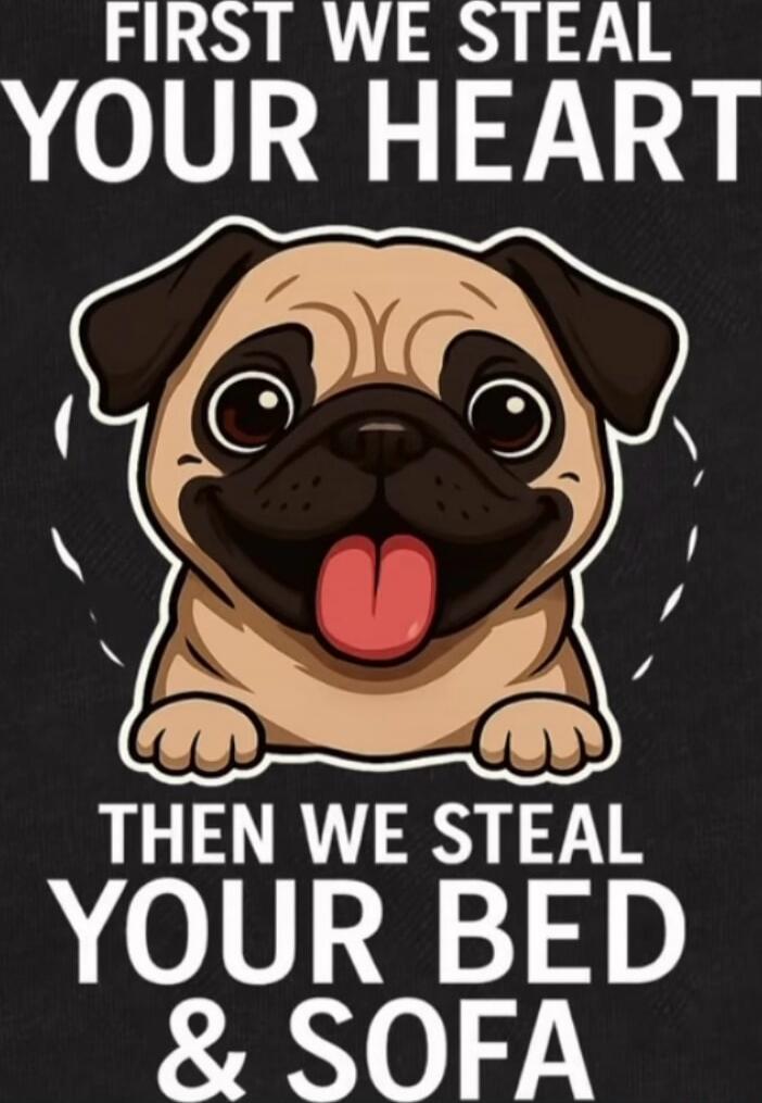 FIRST WE STEAL YOUR HEART THEN WE STEAL YOUR BED & SOFA