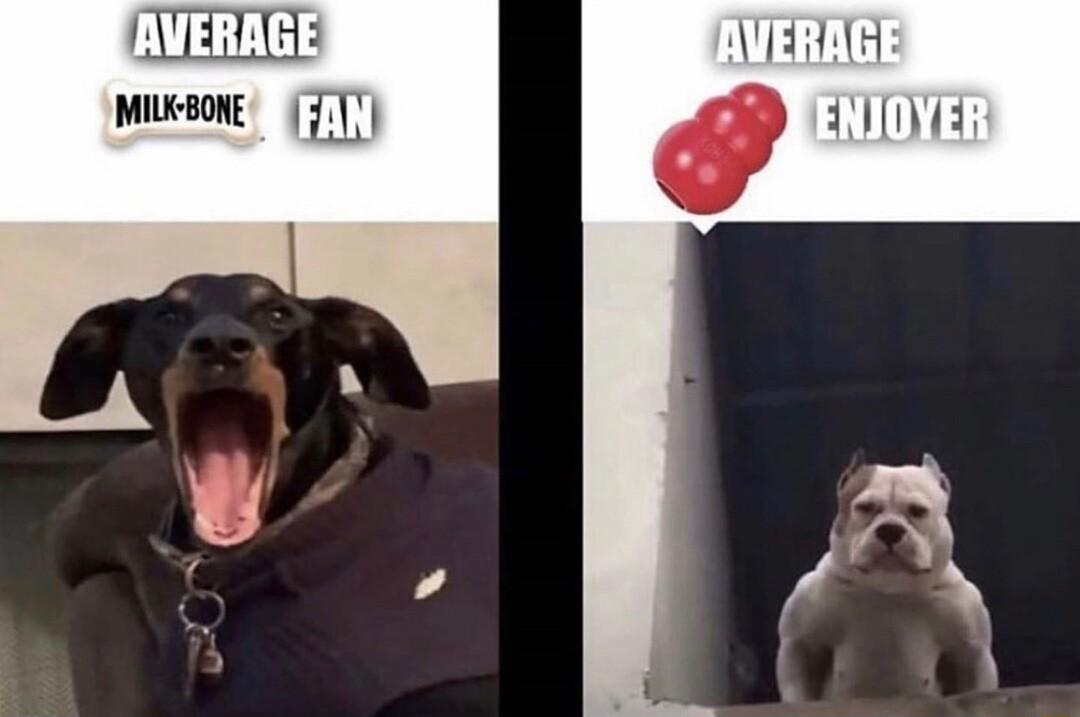 AVERAGE VERAG MIKBONE 71 0 ENIOYER